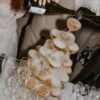 Soirée de mariage à Aix-les-Bains par Solight